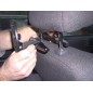 Brodit Headrest mount with monitor